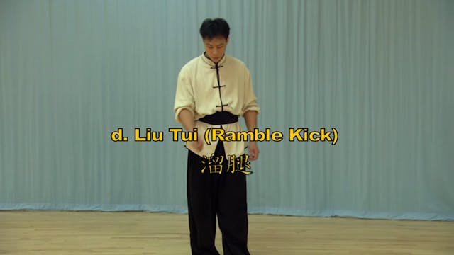 Shaolin Kung Fu Long Fist Int - 8