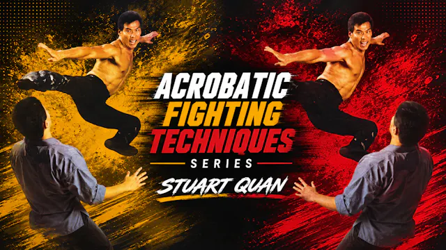 Acrobatic Fighting Techniques Series Stuart Quan