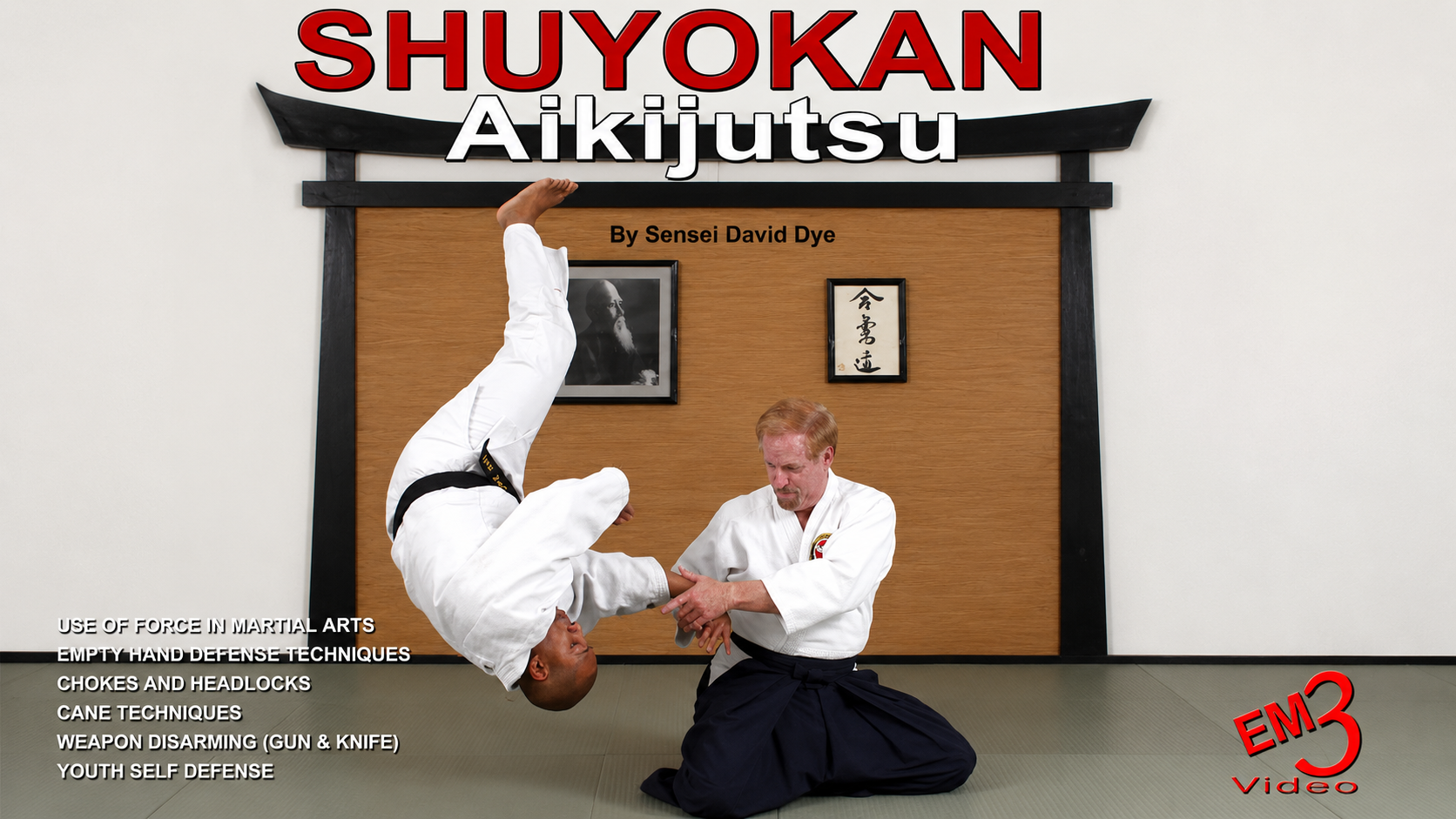 Shuyokan Aikijutsu by David Dye