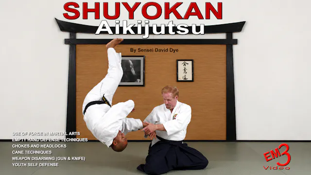 Shuyokan Aikijutsu by David Dye