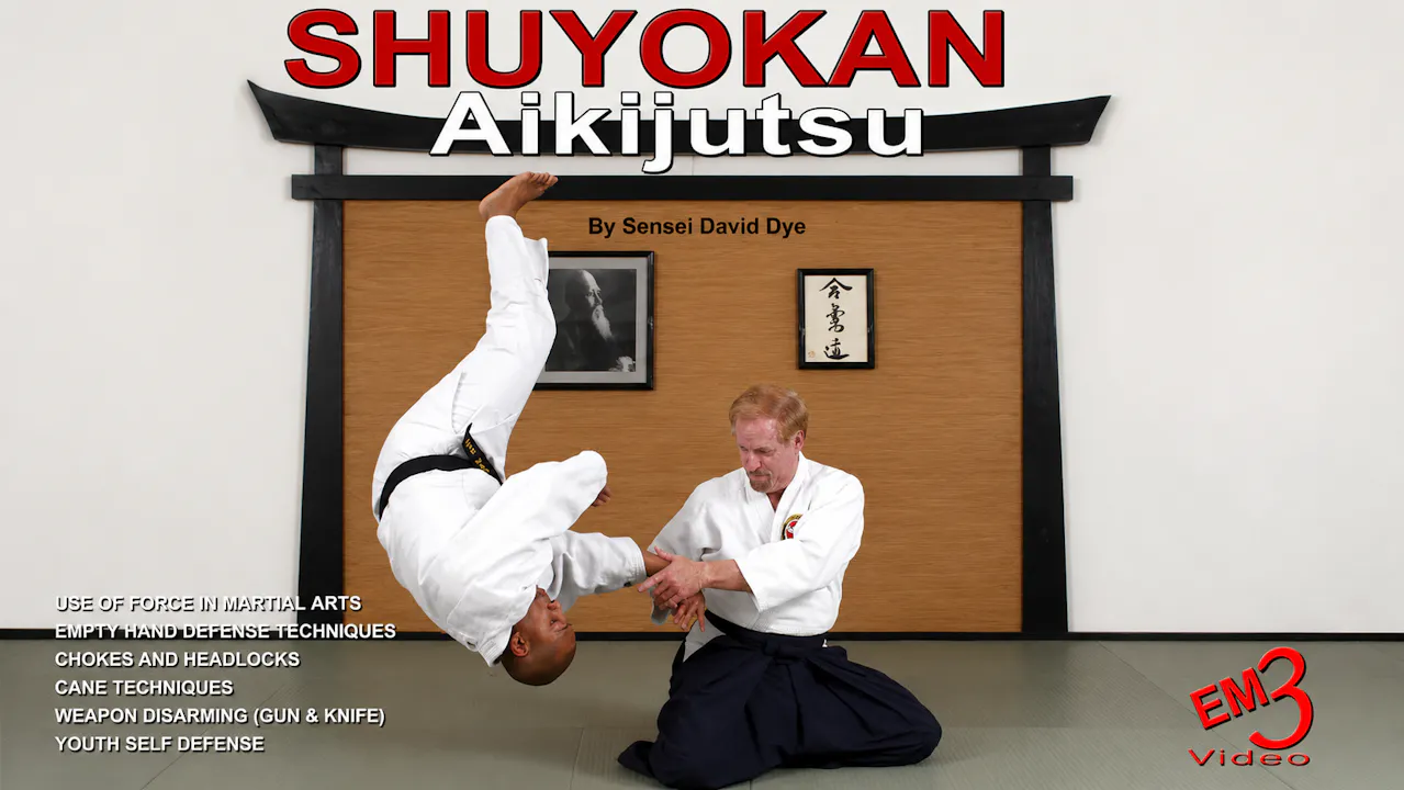 Shuyokan Aikijutsu by David Dye