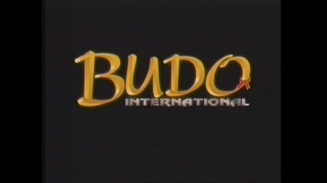 Kobudo by Bryan Cheek