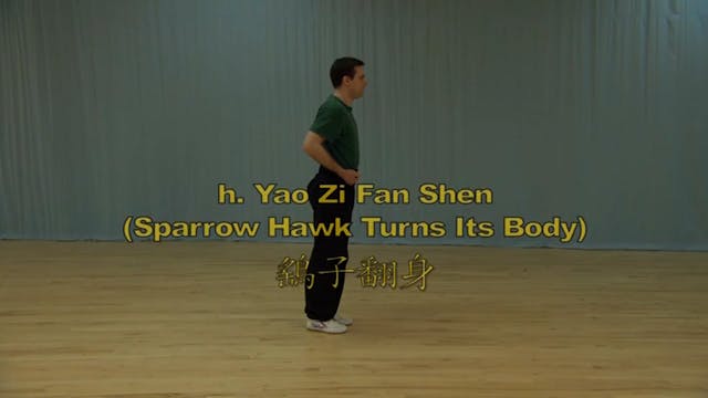 Shaolin Kung Fu Long Fist Int - 72