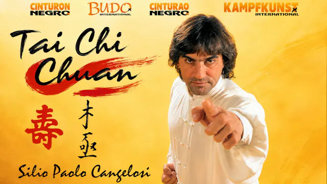 Tai Chi Chen Xia Jia Pao Chuie Paulo Cangelosi