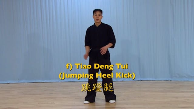 Shaolin Kung Fu Advanced 2 - 15