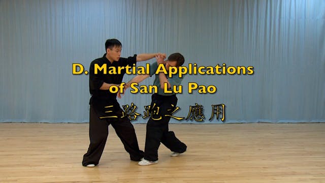 Shaolin Kung Fu Advanced 1.27