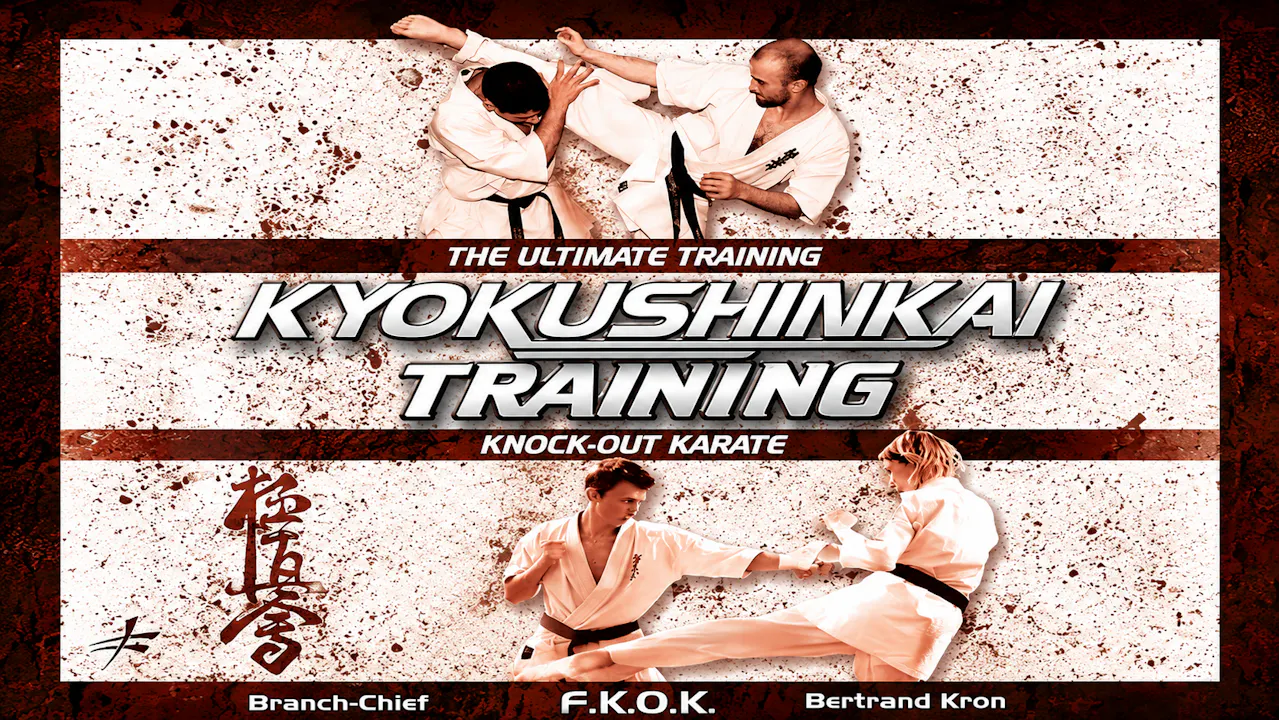 Kyokushinkai Karate Training by Bertrand Kron