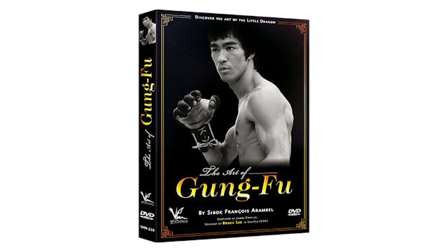 Art of Gung-Fu: The Art of the Little Dragon