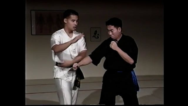 Combat Tai Chi Cheng 5