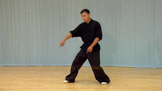 Shaolin Kung Fu Advanced 1.37