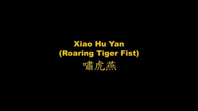 Shaolin Kung Fu Long Fist Int - 66