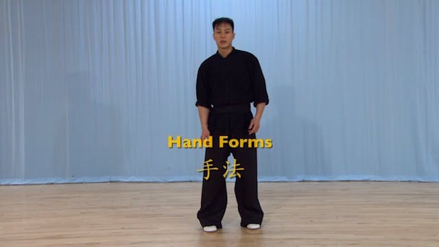 Shaolin Kung Fu Advanced 2 - 16