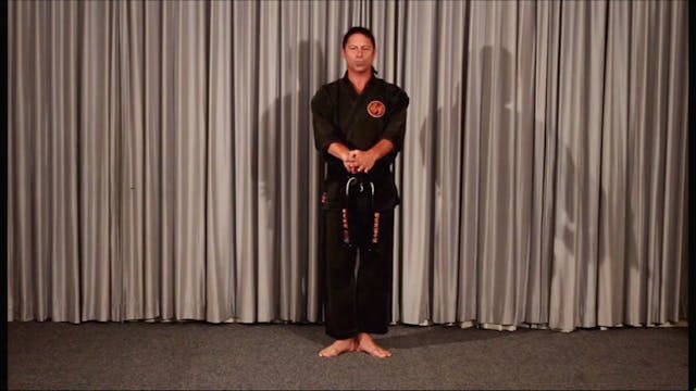 Kyusho Tensho Kata: Nerve Attacks of the Bubishi with Evan Pantazi