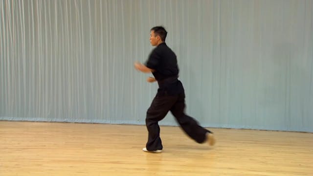 Shaolin Kung Fu Advanced 1.66