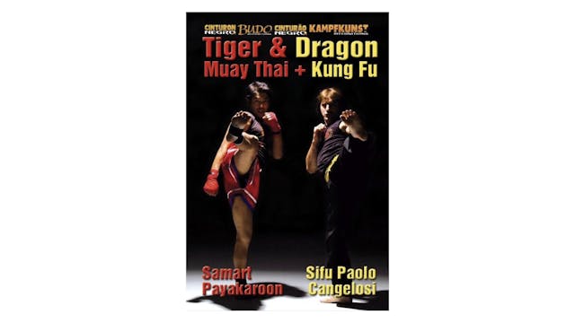 Kung Fu & Muay Thai Dragon & Tiger