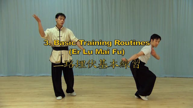 Shaolin Kung Fu Long Fist Int - 34