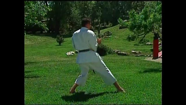 Masterclass Shotokan Katas Vol 2 by Michael Berger