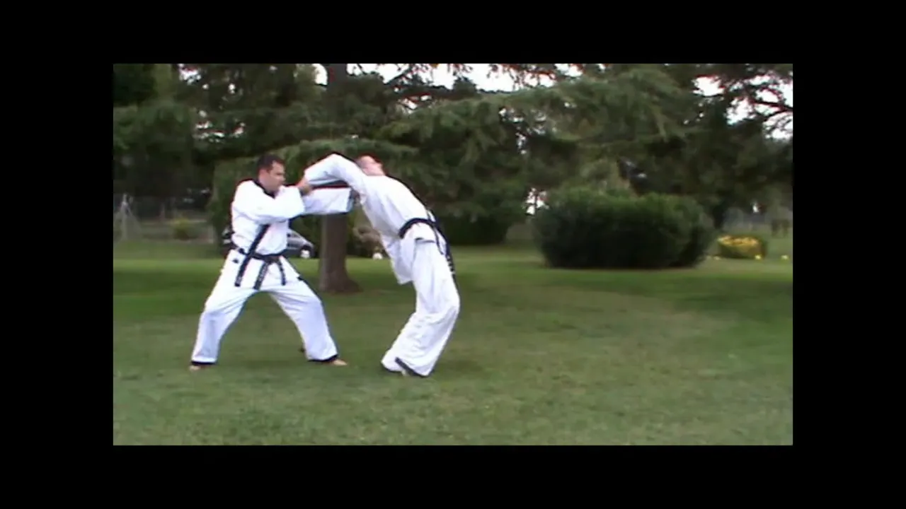 Hapkido Official Program Budovideos Tv