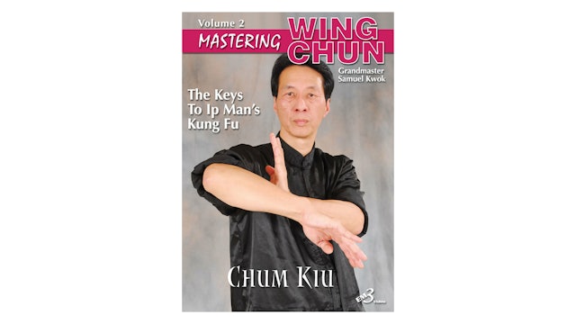 Mastering Wing Chun Keys to Ip Man's Kung Fu Vol 2