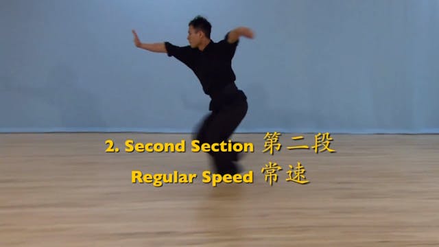 Shaolin Kung Fu Advanced 2 - 33