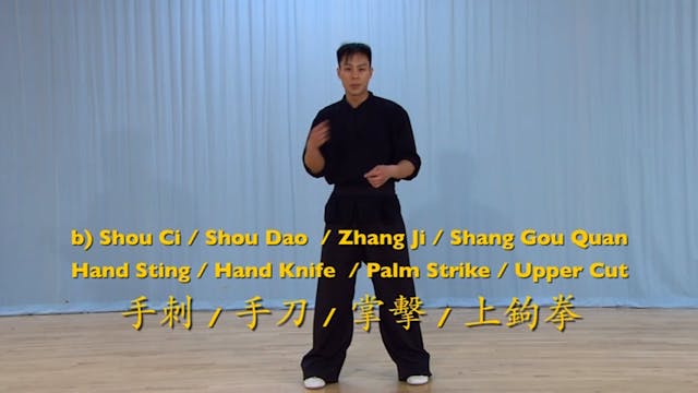 Shaolin Kung Fu Advanced 2 - 59