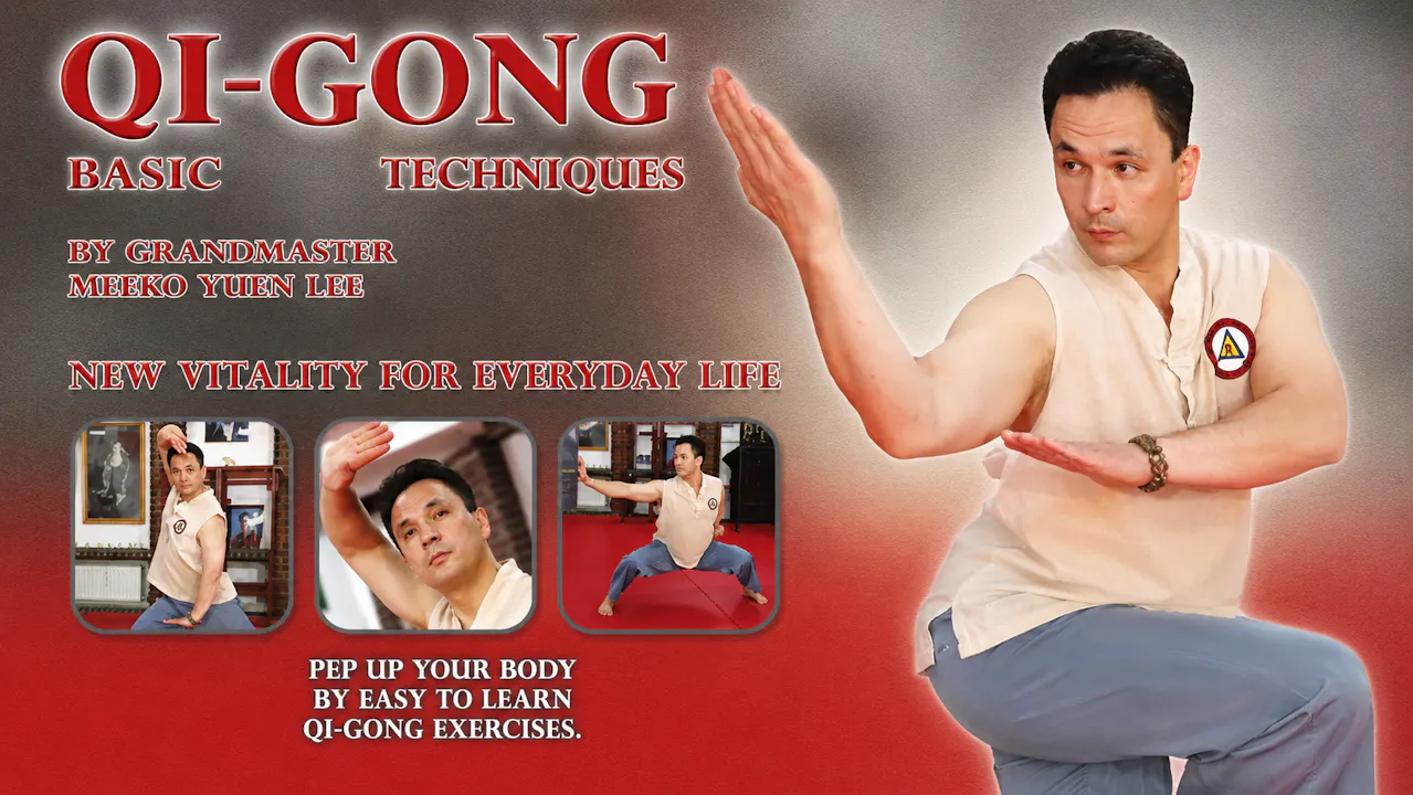 Qi-Gong Basic Techniques by Meiko Yuen Lee