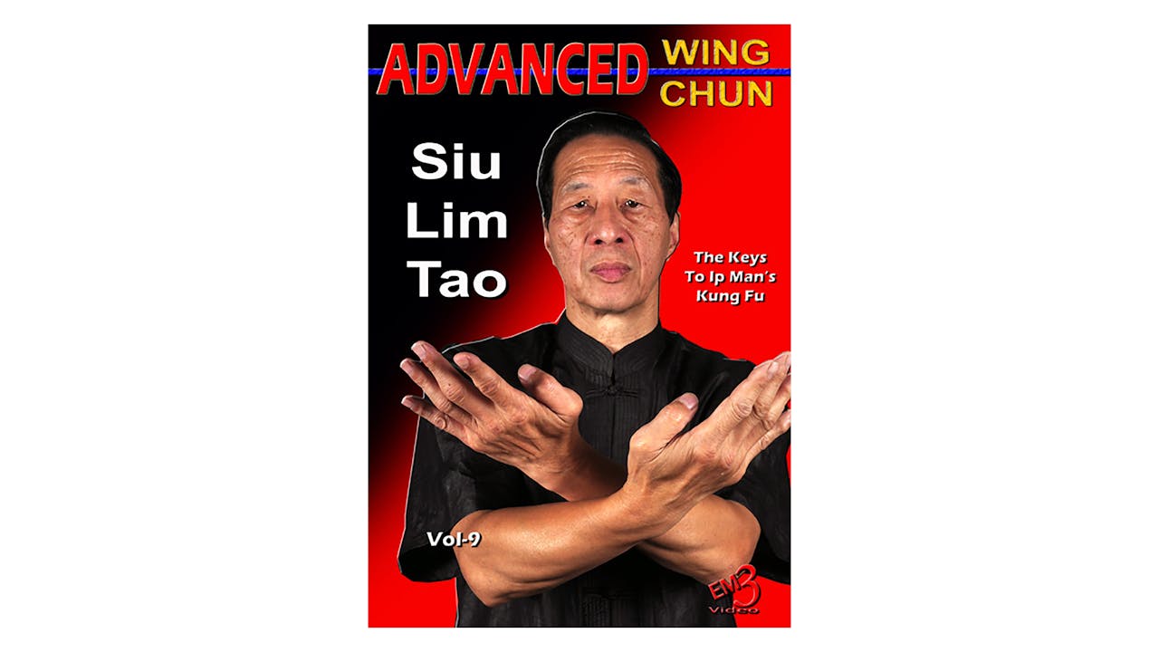 Advanced Wing Chun Keys to Ip Man's Kung Fu Vol 9