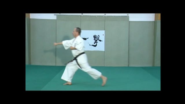 Kyokushinkai Karate Kata & Bunkai Vol 2 DVD229
