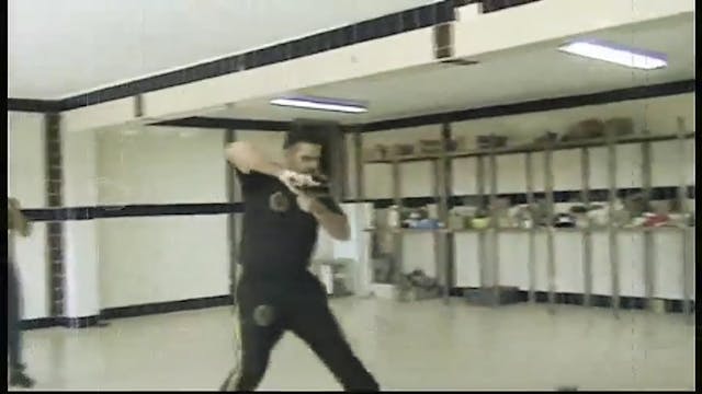 IDS Krav Maga The Will to Survive by Alain Cohen