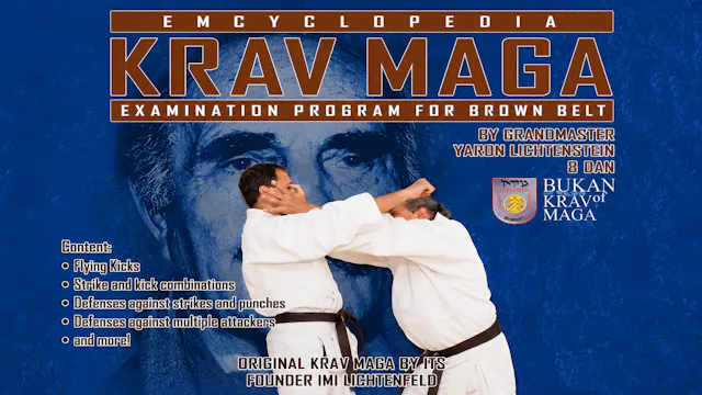Krav Maga Encyclopedia Brown Belt Examination