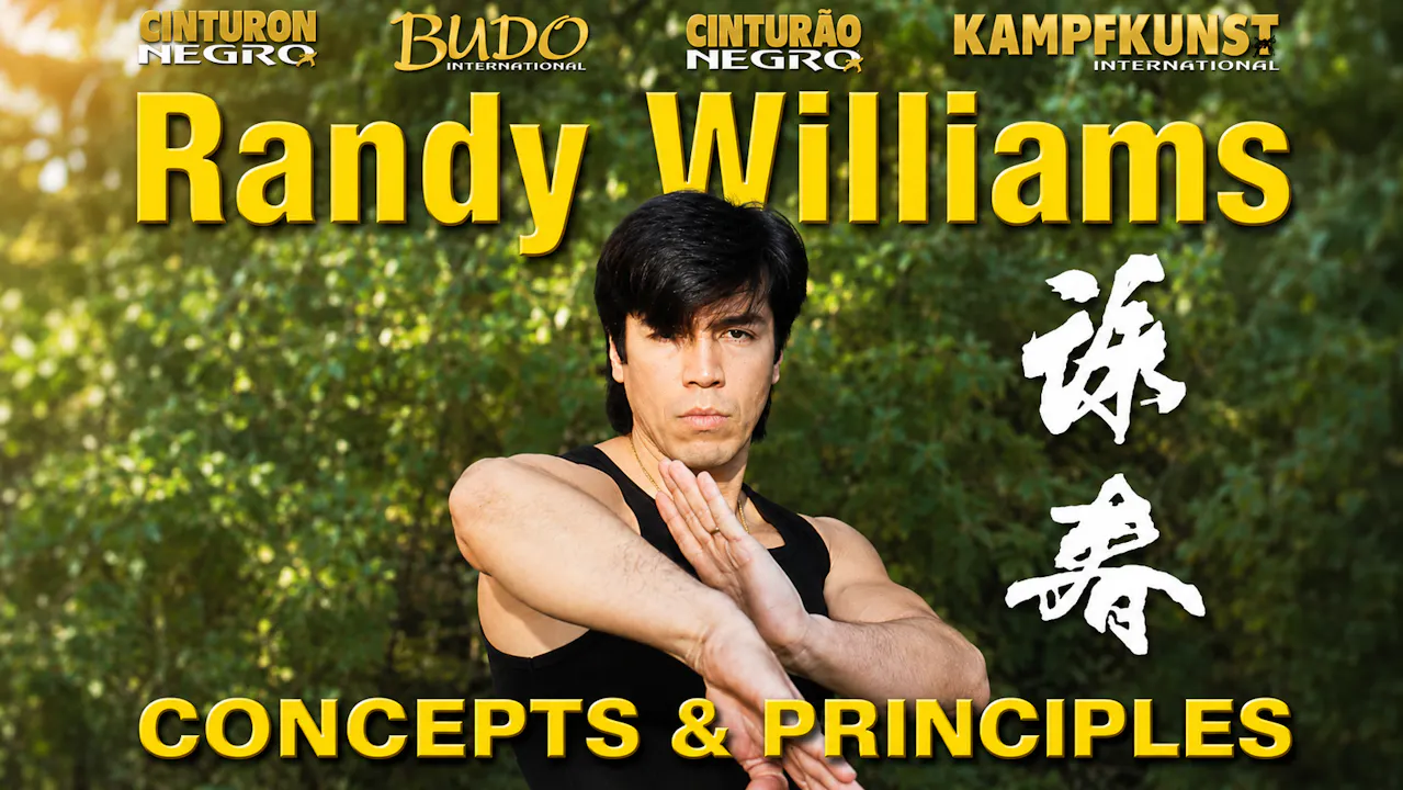 Wing Chun Kung Fu Concepts and Principles