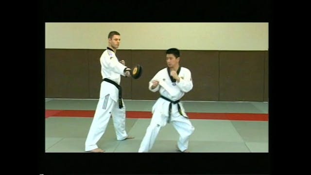 Taekwondo Kicks & Fight Techniques DVD65