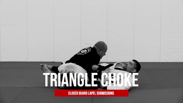 Guard Lapel Submissions 17 - Triangle #3