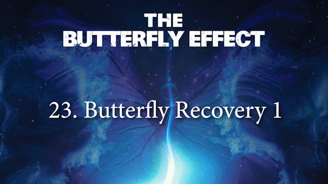 Butterfly Effect 23 Butterfly Recovery 1