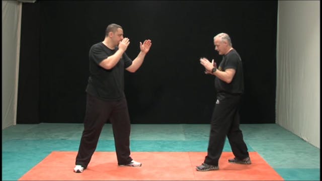 Krav Maga Advanced Techniques - Green Belt Program DVD281