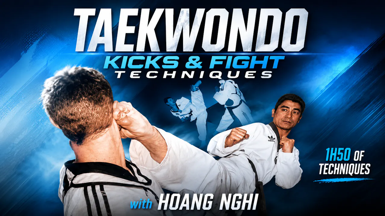 Taekwondo Kicks & Fight Techniques by Hoang Nghi