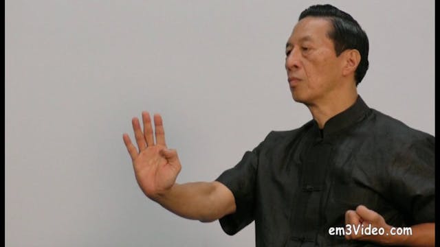 Advanced Wing Chun: Keys to Ip Man's Kung Fu Vol 9 with Samuel Kwok