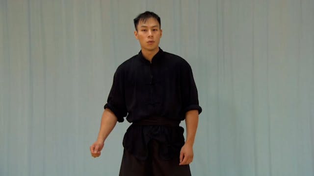 Shaolin Kung Fu Advanced 1.53