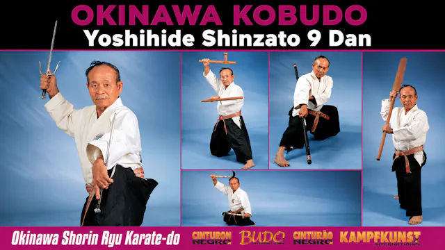 Okinawa Kobudo Shorin Ryu Karate-do by Shinzato