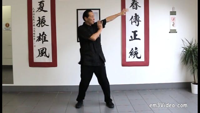 Advanced Wing Chun: Keys to Ip Man's Kung Fu Vol 11 with Samuel Kwok