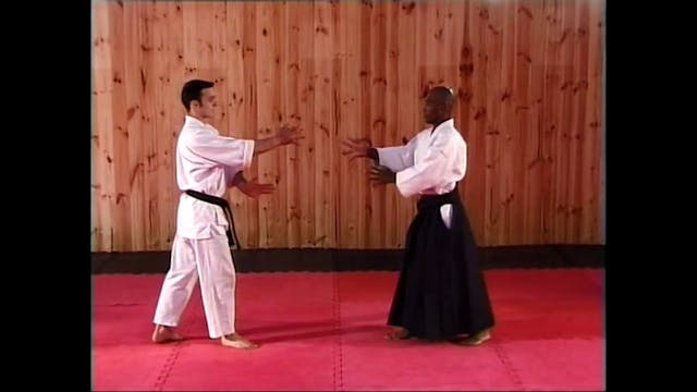 12 Freestyle Aikido