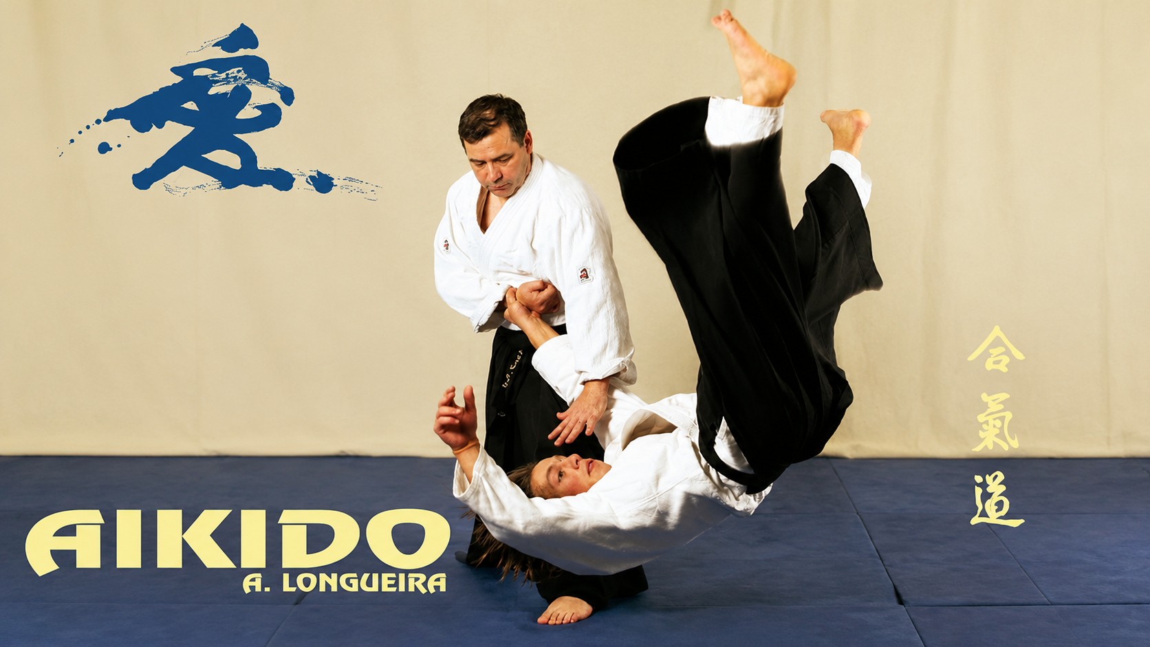 Aikido with Alfonso Longueira