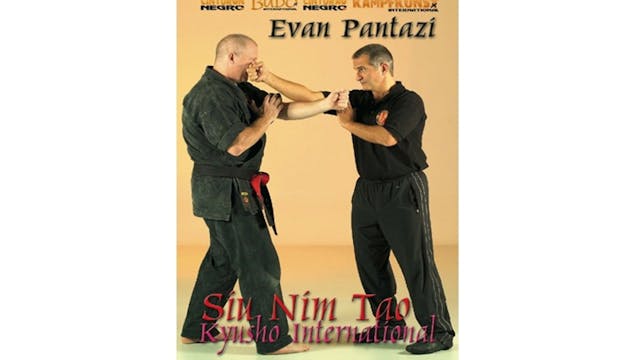 Kyusho Jitsu in Forms Siu Nim Tao by Evan Pantazi