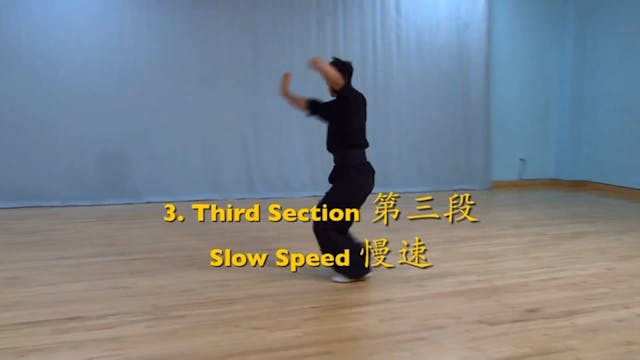 Shaolin Kung Fu Advanced 2 - 34