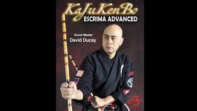 KaJuKenBo Escrima Advanced by David Ducay