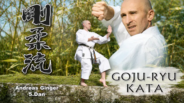 17 Goju Ryu Kata by Andreas Ginger