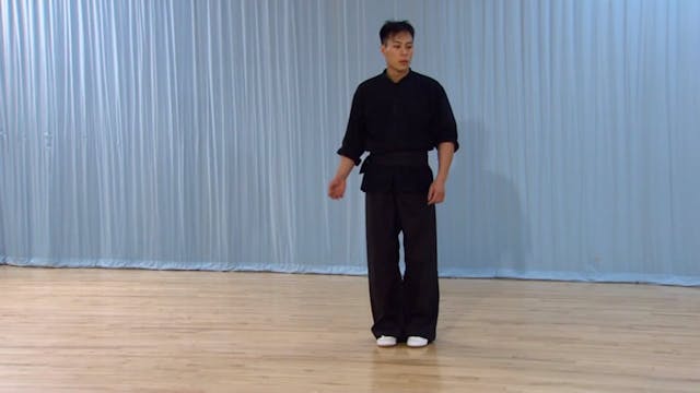 Shaolin Kung Fu Advanced 2 - 24