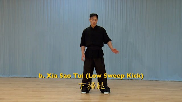 Shaolin Kung Fu Advanced 1.9