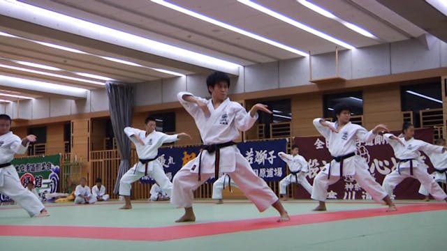 Budo Masters Vol 3 Masters of Tokyo VPM-179