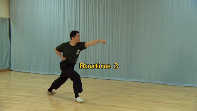 Shaolin Kung Fu Long Fist Int - 75